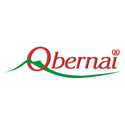 Logo de Obernai